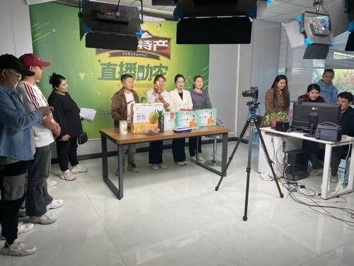 技能培訓賦能 激活拜城就業創業與產業發展新動能